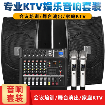 Depusheng professional ktv audio set home home k song karaoke conference performance stage speaker amplifier 10-inch ktv entertainment audio set