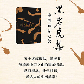 Black tiger collection the beauty of chinese steles and calligraphy
