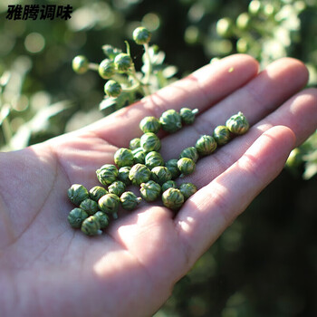 Valerie suichang shilian jumi tea, pearl chrysanthemum chrysanthemum tea, wild chrysanthemum rice, chrysanthemum bud herbal tea 100g