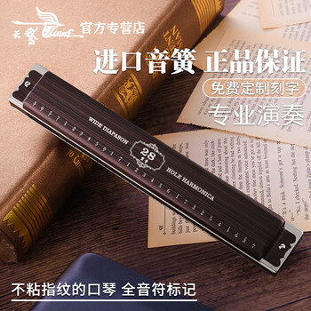 Swan german imported gongs swan 28-hole high-end adult professional performance grade polyphonic c key performance harmonica dark 28 hole accent