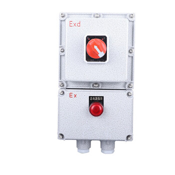 Customized explosion-proof circuit breaker distribution explosion-proof isolation control maintenance power box explosion-proof magnetic start with leakage 220v2p10a