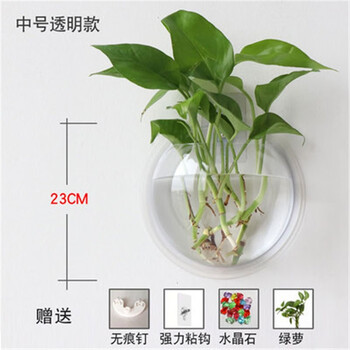 Chenbu wall-mounted hydroponic creative pothos green plant flower pot hanging wall-mounted round decorative vessel transparent european vase 15cm transparent style + traceless nails (without plants)