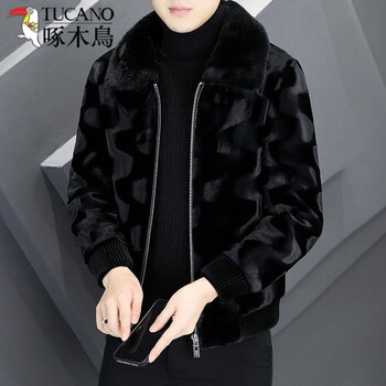Woodpecker (tucano) new autumn and winter men's gold mink fur all-in-one jacket thickened cold-proof and warm fur youth handsome jacket mink jacket xl (105/125 catties)