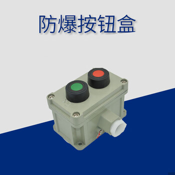 Explosion-proof button box switch control box start stop self-reset empty box remote control rain cover red emergency stop 1h one button red
