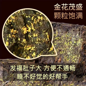 Qiu boyuan dark tea hunan anhua special grade anhua golden flower fu brick tea authentic handmade first-class health tea 2016 handmade golden flower fu brick 1000g
