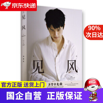 Jingdong express delivery seeing the wind by liu haoran china friendship publishing company motie books 9787505736856