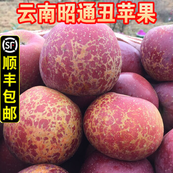 Rose gardenia 2025 new fruits now picked, yunnan zhaotong wild ugly apple rock candy heart rare fruit fresh crisp sweet big fruit 80mm (inclusive)-85mm (exclusive) 10kg
