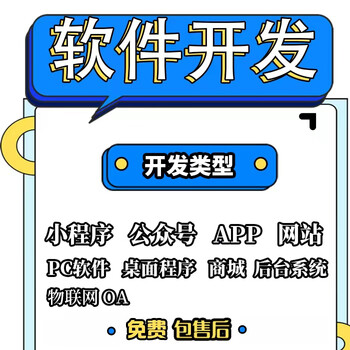 Software customization software development small program developer city app customization development computer management system internet of things