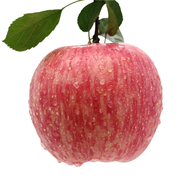 Twenty miles in the hills origin spot crisp sweet net weight 5 jin shandong yantai qixia red fuji apple fruit unwaxed