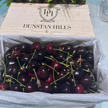 New zealand air-shipped kordia cherries fresh crispy sweet fruit original box gift box black pearl cherries 2 catties (net weight) gift box kordia cherries big mac 3j single fruit 30-32mm