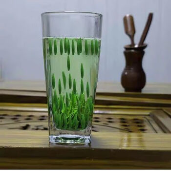 Chaowei 2024 new tea authentic jintan bird's tongue tea premium early spring first picked young bud green tea 250g bulk canned tea 250g