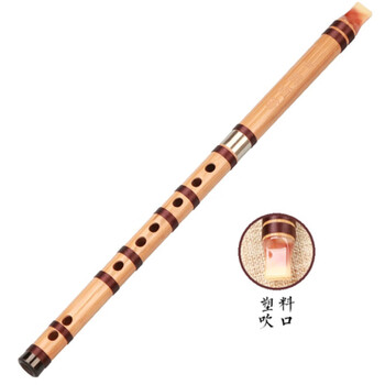 Geyue chinese shun flute filmless recorder six hole 6 hole flute bamboo flute school teaching beginner introductory adult national instrument chinese shun flute f double section (plastic mouth)