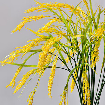 Chenbu new simulated rice rice ears plastic flowers artificial flower ornaments wheat ears dried bouquet living room decoration one simulated wheat ear branch simulated wheat ear