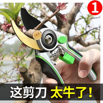 Bobenjia gardening pruning scissors, fruit tree branches, garden flower branches, floral scissors, pruning shears, fruit picking tools - sk5 steel finely ground blade + storage box