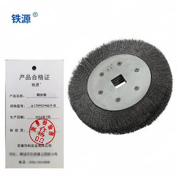 Wire wheel 170*31*45 flat type 170*31*45 flat type
