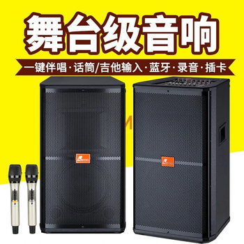 Danmark professional large stage audio set dual 15-inch outdoor square dance high-power wedding performance active ktv speaker equipment amplifier audio microphone microphone all-in-one machine 15-inch dual speakers + dual wireless professional microphones