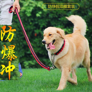 Slpc dog leash, large dog golden retriever chain, explosion-proof p-chain, pet dog leash collar, border collie dog leash, red and black xl size (suitable for 65 to 100 pounds)