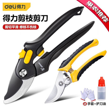 Deli fruit tree scissors, gardening flower branch scissors, labor-saving tree shearing, garden potted flowers and trees pruning branch scissors, thick branch pruning, stainless steel fruit branch shears dl2789
