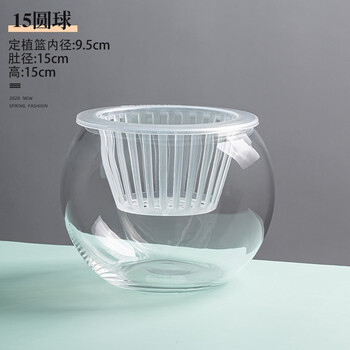Flowers accompany you hydroponic plants glass bottle transparent glass vase container green radish flower pot round spherical fish tank water culture large vessel 15 ball vase-hydroponics