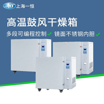 Yiheng shanghai high temperature electric blast drying oven laboratory 500 degree oven constant temperature test dryer industrial oven bpg-9200ah