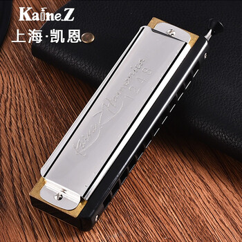 Kane 12-hole chromatic harmonica 48-tone harmonica in c key for adults, children, students, beginners, professional playing 12-hole chromatic scale in c key