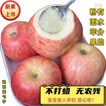 Zhenmei 2025 shaanxi fresh seasonal fruit, baby scraping mud, cotton sand, white water, apple powder, apple fruit for the elderly, 4.5 pounds of medium fruit, 10-12 pieces