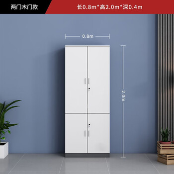 Zhenye file cabinet information cabinet office high cabinet wooden glass door cabinet panel file storage storage office background cabinet white two doors b 800*400*2000