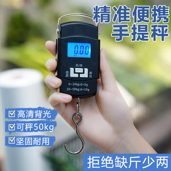 Wrdew portable electronic scale high-precision electronic scale portable scale spring scale household portable small scale hook portable scale battery model