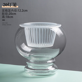 Flowers accompany you hydroponic plants glass bottle transparent glass vase container green radish flower pot round spherical fish tank water culture large vessel 20 lantern vase-hydroponics