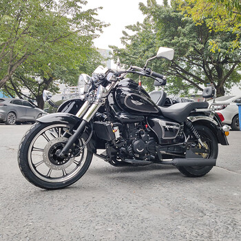 Shenglongjia brand new side three-wheel motorcycle gasoline tricycle sidecar sidecar motorcycle fuel side three-wheel side bucket body bright black bright green chrome shelf national iv version can be registered