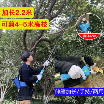 Sterk rechargeable extended electric scissors to cut branches, fruit trees, high-altitude pruning shears, gardening artifacts, labor-saving household telescopic thick branch shears, garden orchard branch pruning artifacts, 4 cm extended electric scissors, full set of configurations