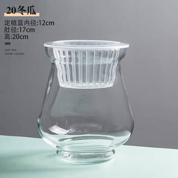 Flowers accompany you hydroponic plants glass bottle transparent glass vase container green radish flower pot round spherical fish tank water culture large container 20 winter melon vase-hydroponics