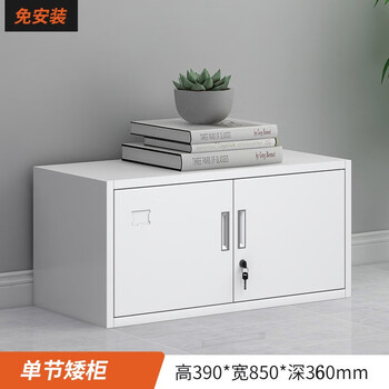 Chang sheng (changsheng) office file cabinet steel iron cabinet information cabinet financial voucher cabinet low cabinet locker locker thickened single section file cabinet 0.5mm