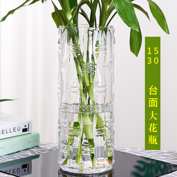 Lekali glass vase living room desktop decoration large lucky bamboo hydroponic vase transparent fake dried flower crafts lucky bamboo vase 1530 round bamboo tube