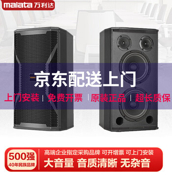 Malata audio set home ktv audio shop stage training room dance studio bluetooth amplifier microphone speaker double 10-inch audio pair