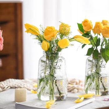 Extreme space glass vase vase hydroponic plant ecological bottle transparent desktop living room office desk home decoration ornaments