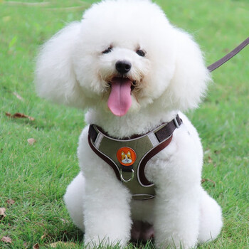 Natural mood vest type dog leash small dog teddy bichon pomeranian harness puppy puppy walking rope dog chain brown antler leather m recommended within 7-13 pounds