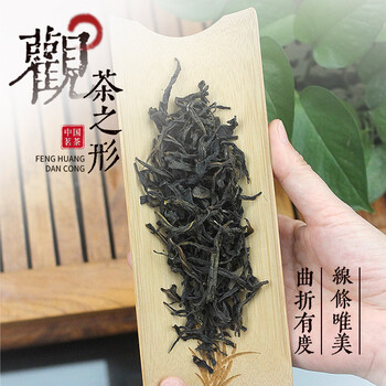 Youcong gift box dancong tea duck shit fragrance special new tea chaozhou tea gift tea 500g origin wholesale lao cong duck shit fragrance iron can 500g