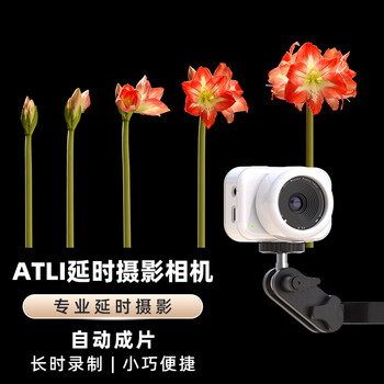 Atli time-lapse camera, fast forward and zoom, macro high-definition video, vlog decoration, plant tourism project video recorder, fool timed loop delayed photo digital camera, white, standard +64g tf card