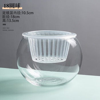 Flowers accompany you hydroponic plants glass bottle transparent glass vase container green radish flower pot round spherical fish tank water culture large vessel 18 ball vase-hydroponics
