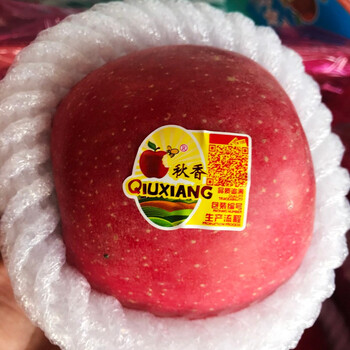 Shanlang qiuxiang red fuji apple 15-piece gift box, fruit diameter 85-90mm, fresh fruit, shandong yantai big apple, qiuxiang apple 8.5 catties, 15 pieces (85-90mm)