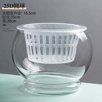 Flowers accompany you hydroponic plants glass bottle transparent glass vase container green radish flower pot round spherical fish tank water culture large vessel 25d ball vase-hydroponics