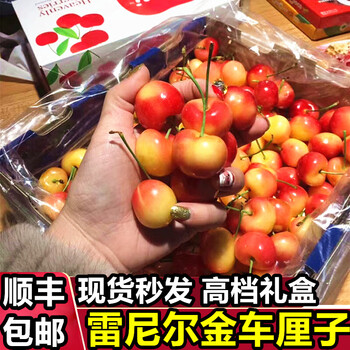 Chile imported golden cherries jjjj rainier yellow cherries fresh high-end fruit gift box 500g (net weight) 4j level big mac-selected gift box