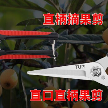 Fantasy japan's special scissors for cutting branches, thick branches and labor-saving, large and powerful stainless steel scissors for gardening and forest cutting, special for flower picking and fruit picking. straight mouth and straight handle scissors with a 20-year warranty for japanese fruit picking.