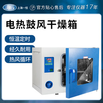 Jiujuhe shanghai yiheng stainless steel oven electric heating constant temperature blast drying oven industrial high temperature drying oven laboratory oven dhg-9625a type temperature control rt+10~300