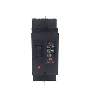 Guangdong dz15-100/2901 plastic case circuit breaker air switch 100a220v two-phase 2p 63a