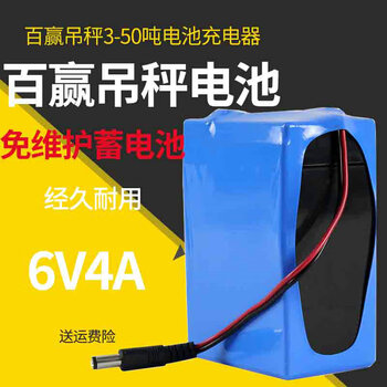 Said yu baiying electronic crane scale battery 6v4a crane scale battery 3t5t10t15t20t battery line charger 6v10ah crane scale battery 6v4a