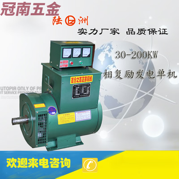 Baomu luchuan luzhou brand diesel generator 30-200kw three-phase compound-excited single machine upgraded version of all-copper power ball tzh2-100