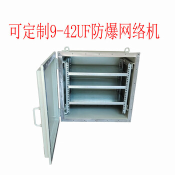Outdoor network cabinet distribution box plc control cabinet 9u cabinet frequency conversion box explosion-proof monitoring cabinet