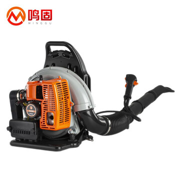 Minggu forest fire backpack fire extinguisher (two-stroke) 100016702898